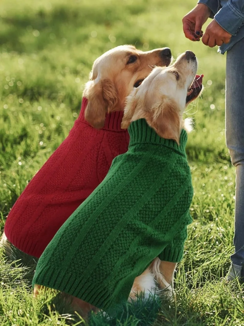 Queenmore Green Knit Dog Sweater Turtleneck Medium NWT